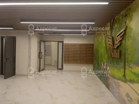 2-к кв. Волгоградская область, Волгоград ул. Клары Цеткин, 29 (44.9 м)