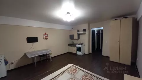 1-к кв. Иркутская область, Иркутск Байкальская ул., 253Б (30.0 м)