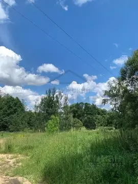 Участок в Калужская область, Бабынинский район, Муромцево с/пос, с. ...