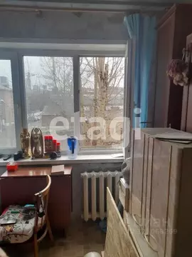 Студия Красноярский край, Красноярск ул. Курчатова, 12 (17.2 м)