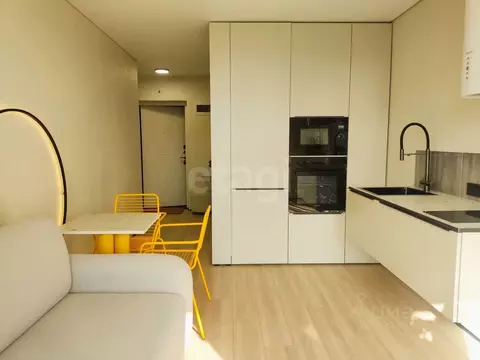 Студия Воронежская область, Воронеж ул. Суворова, 122Д (24.35 м)