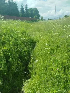 Участок в Московская область, Клин городской округ, д. Степаньково  ...