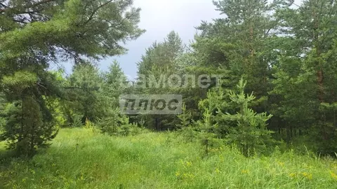 Участок в Воронежская область, Воронеж пер. 4-й Шиловский (8.0 сот.)