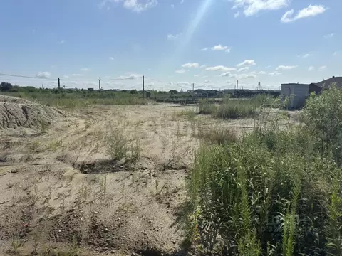 Участок в Амурская область, Благовещенск ул. Ромашковая, 46/8 (7.5 ...