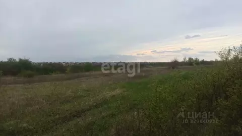 Участок в Белгородская область, Ракитянский район, Дмитриевское с/пос, ...