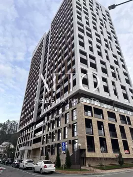 Студия Краснодарский край, Сочи городской округ, Дагомыс пгт ш. ...