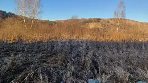 Участок в Алтай, Майминский район, с. Кызыл-Озек  (10.0 сот.)