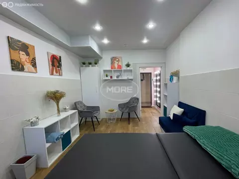 Помещение свободного назначения (19.9 м)