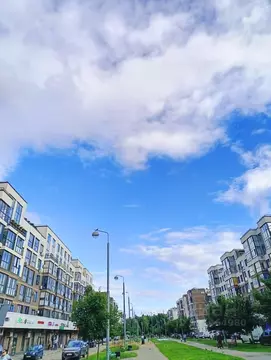 Студия Московская область, Мытищи бул. Тенистый, 19 (22.0 м)