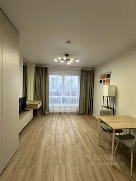 Студия Москва ул. Трехполье, 6к1 (20.0 м)