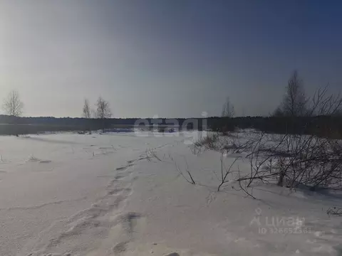 Участок в Курганская область, Курган Мостовик СНТ, ул. 14-я (5.0 сот.)