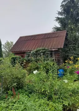 Дом в Ленинградская область, Волхов Южное СНТ, 22-я линия, 398 (45 м)