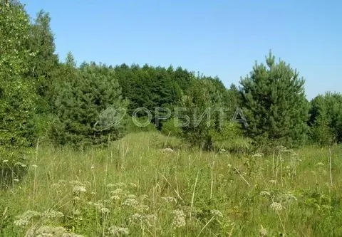 Участок в Тюменская область, Тюменский район, Горошинка СНТ  (10.0 ...