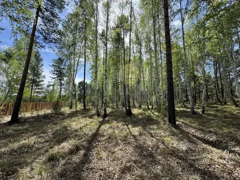 Участок в Иркутская область, Иркутский муниципальный округ, д. Карлук ...
