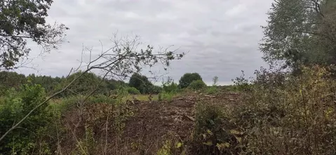 Участок в Московская область, Талдомский городской округ, д. ...