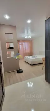 Студия Волгоградская область, Волгоград ул. Степанищева, 4 (34.0 м)