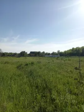 Участок в Курская область, Курский район, Камышинский сельсовет, д. ...