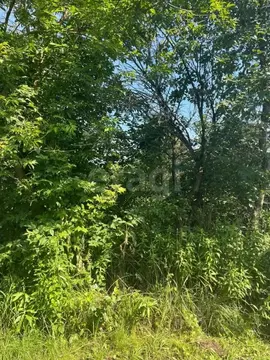Участок в Московская область, Чехов муниципальный округ, д. Дмитровка ...