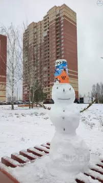 2-к кв. Ярославская область, Ярославль Красноборская ул., 38к2 (58.22 ...