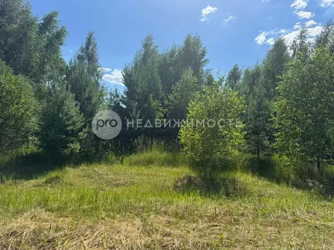 Участок в Рязанская область, Спасский район, Панинское с/пос, д. ...