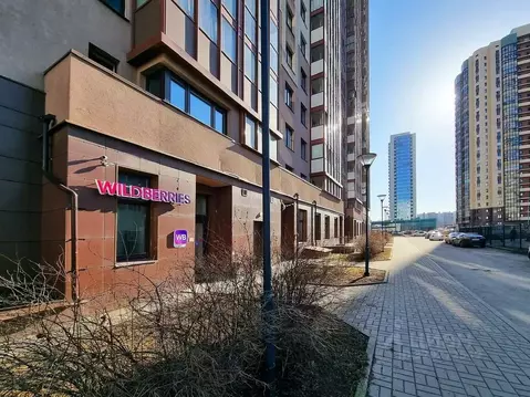 Помещение свободного назначения в Санкт-Петербург пос. Парголово, ул. ...