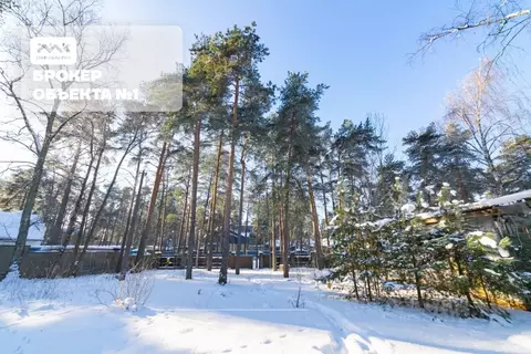 Участок в Санкт-Петербург, Санкт-Петербург, Сестрорецк просп. ...