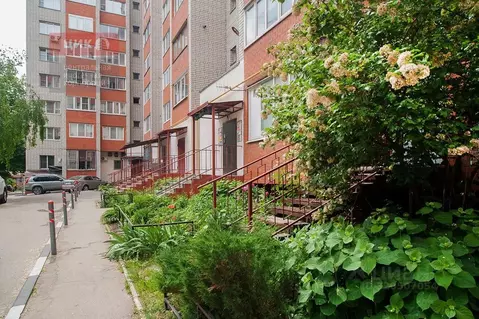 3-к кв. Рязанская область, Рязань Московский р-н, ул. Костычева, 9 ...