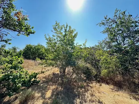 Участок в Крым, Черноморский район, с. Новосельское ул. Ленина (5.28 ...