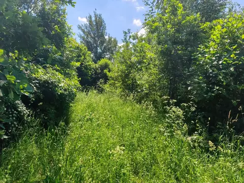 Участок в Московская область, Домодедово городской округ, с. ...
