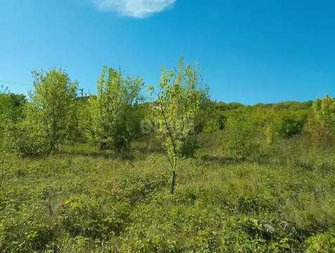 Участок в Крым, Кировский район, Первомайское с/пос, Заря СНТ ул. ...