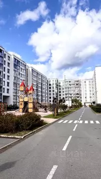 Студия Санкт-Петербург просп. Буденного, 23к1 (24.4 м)