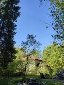 Продается участок в пгт Некрасовский