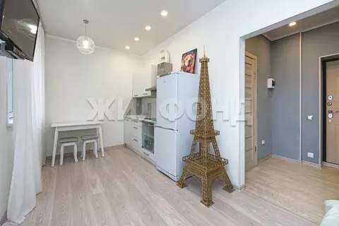 1-к кв. Новосибирская область, Новосибирск Горский мкр, 12 (27.5 м)