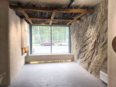 Помещение свободного назначения в Санкт-Петербург Большой ...