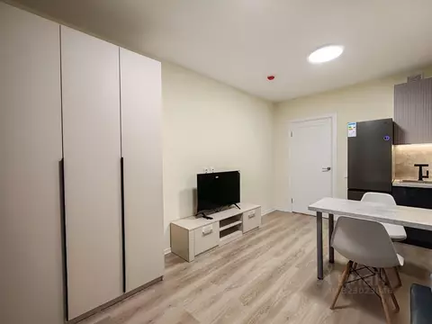 Студия Санкт-Петербург ул. Пахомовская, 10к4 (21.0 м)