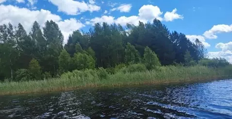 Участок в Тверская область, Осташковский муниципальный округ, д. ...