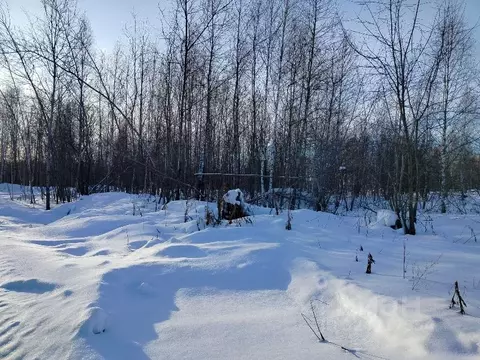 Участок в Новосибирская область, Новосибирский район, Станционный ...