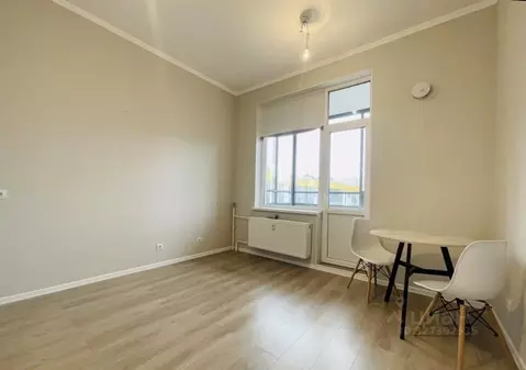 Студия Ленинградская область, Всеволожский район, Заневское городское ...