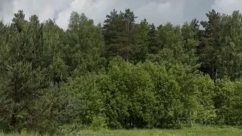 Участок в Московская область, Красногорск городской округ, д. ...