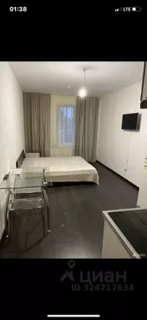 Студия Санкт-Петербург просп. Буденного, 19к1 (24.8 м)