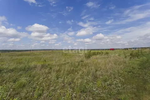 Участок в Башкортостан, Чишминский район, Лесной сельсовет, с. ...