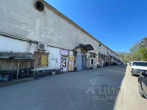 Помещение свободного назначения в Крым, Алушта ул. Виноградная, 32 ...