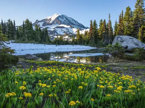 Участок в Алтай, Чемальский район, Седьмое небо кп  (50.3 сот.)