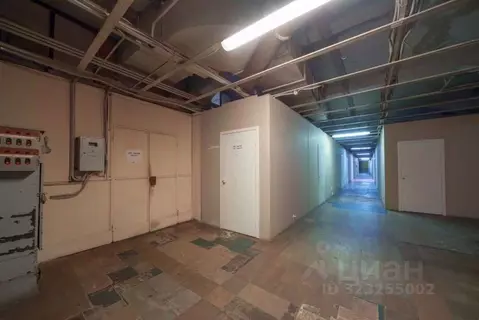 Производственное помещение в Санкт-Петербург Промышленная ул., 5 (255 ...