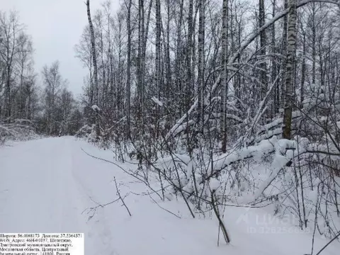 Участок в Московская область, Дмитровский муниципальный округ, д. ...