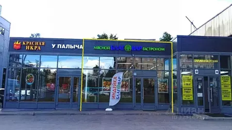 Помещение свободного назначения в Санкт-Петербург Ленинский просп., ...