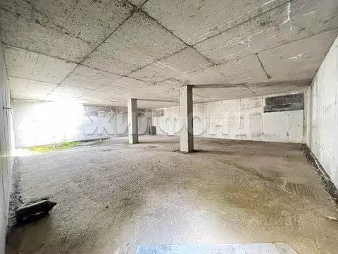 Участок в Новосибирская область, Новосибирский район, с. Боровое ул. ...