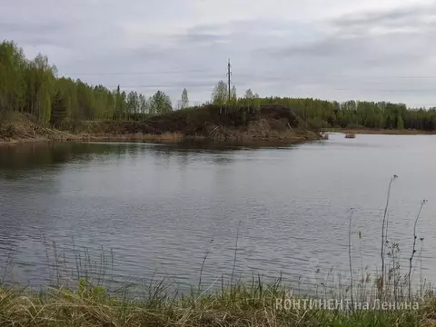 Участок в Ярославская область, Рыбинский муниципальный округ, д. ...