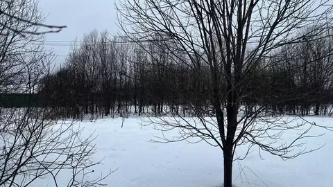 Участок в Московская область, Истра муниципальный округ, пос. ...