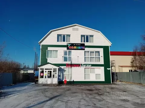 Торговая площадь в Ямало-Ненецкий АО, Ноябрьск ул. Строителей, 36А ...